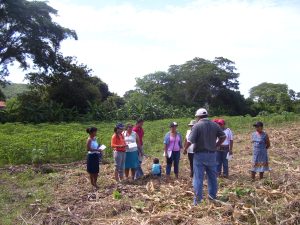 P. Seguridad Aliemntaria (4)