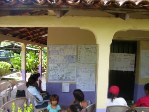 P. Seguridad Aliemntaria (5)